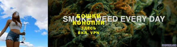 ГАЛЛЮЦИНОГЕННЫЕ ГРИБЫ Карпинск