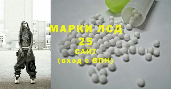 ГАЛЛЮЦИНОГЕННЫЕ ГРИБЫ Карпинск