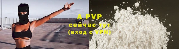 ГАЛЛЮЦИНОГЕННЫЕ ГРИБЫ Карпинск