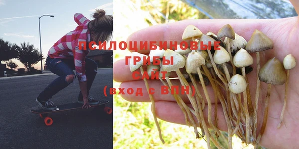 бошки Карталы