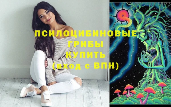 ГАЛЛЮЦИНОГЕННЫЕ ГРИБЫ Карпинск